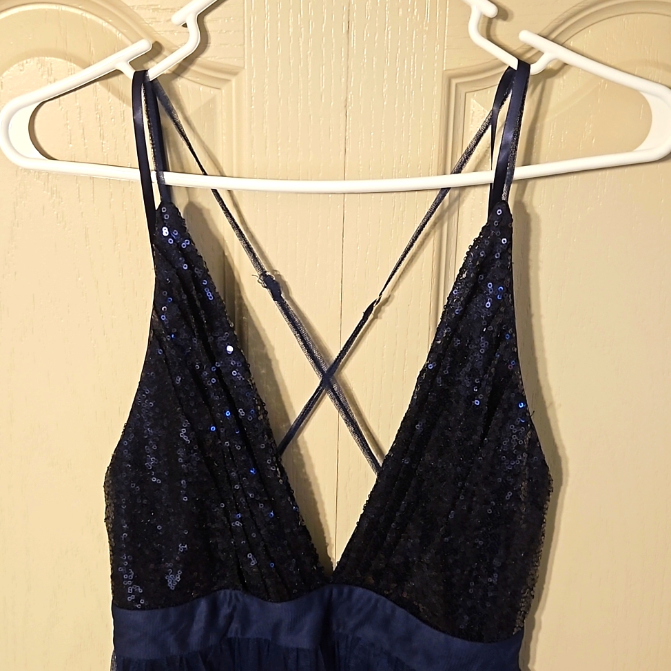 Royal Tulle Maxi With Sequin Top